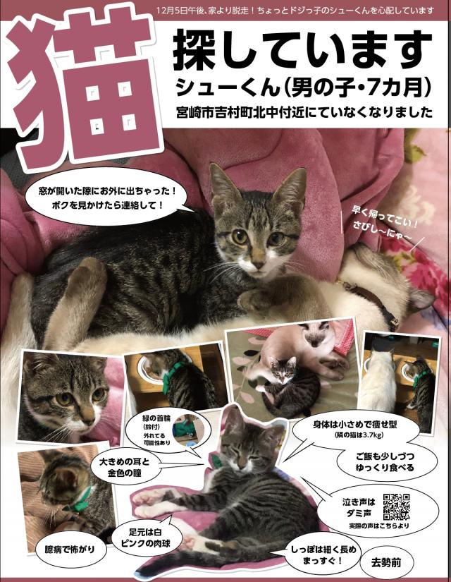シュー