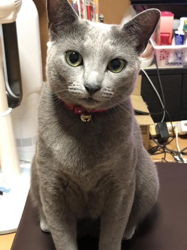 ラム