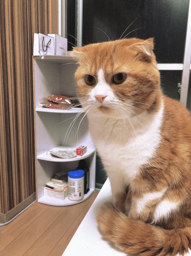 バーボン