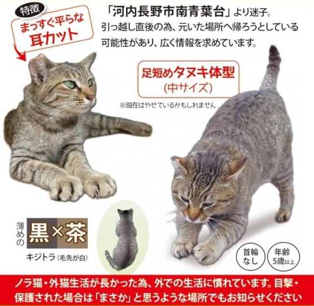 きぃ