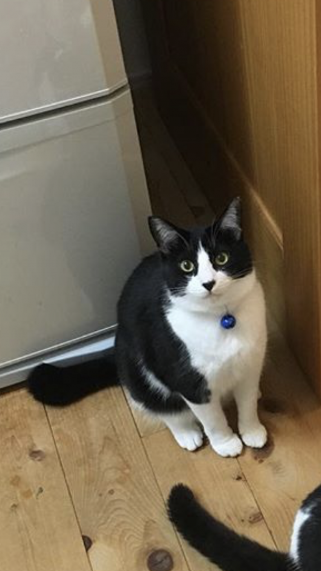 ムン