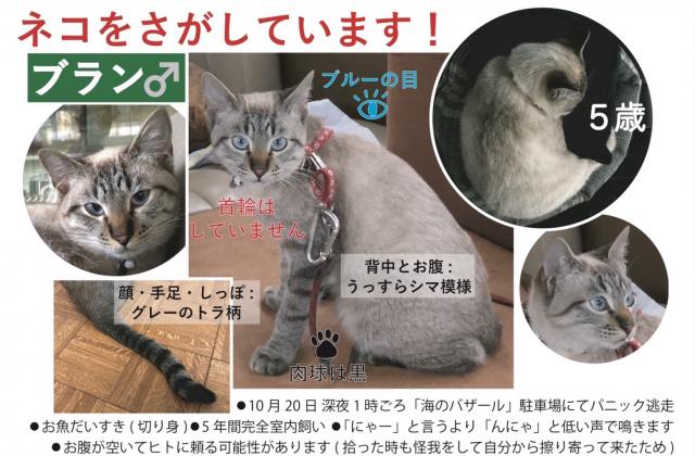 ブラン