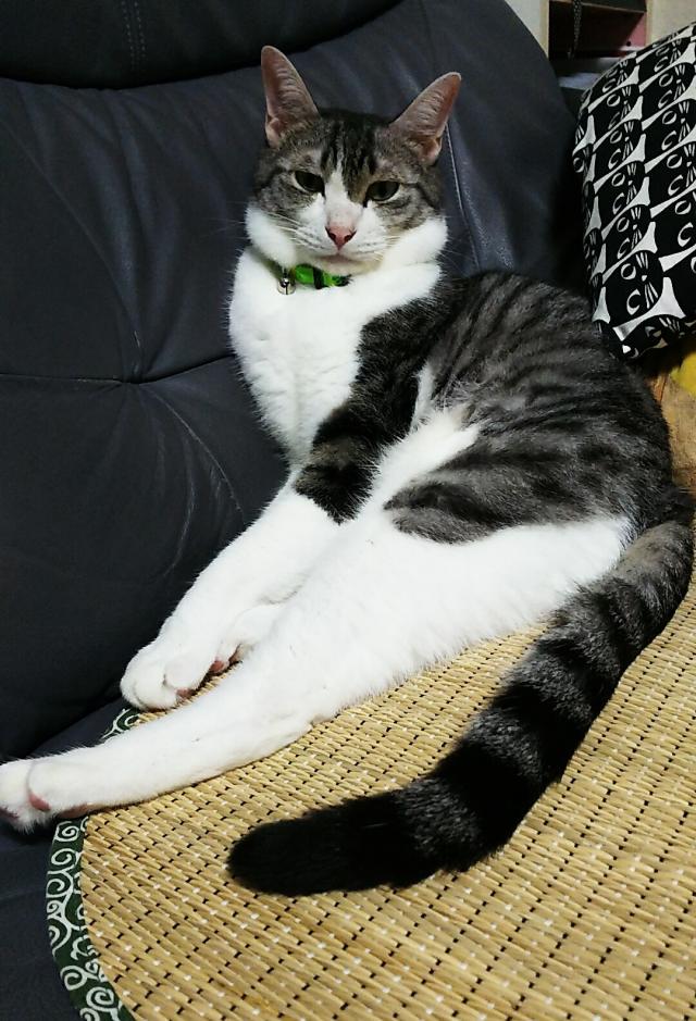 ザック