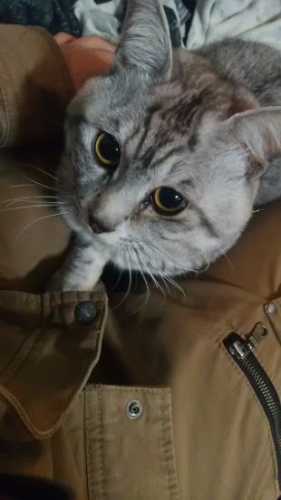 くう