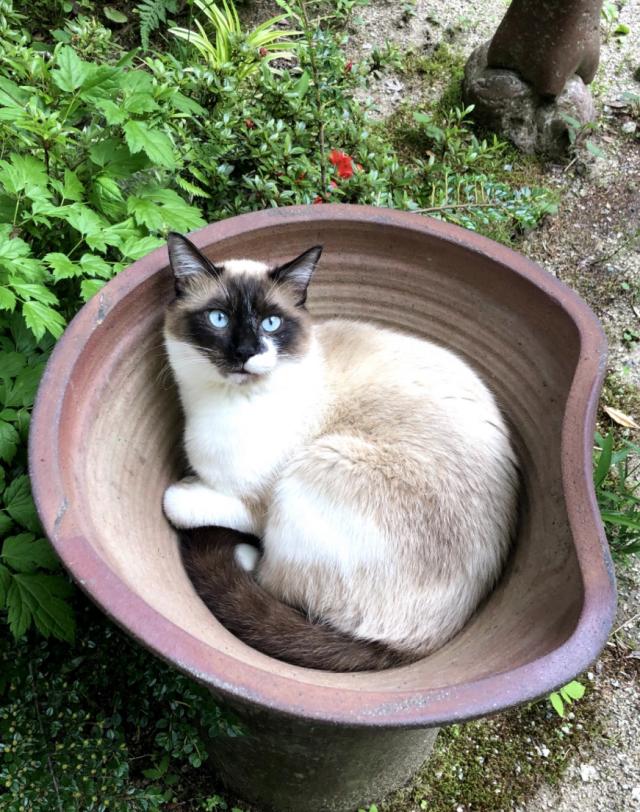 じろう