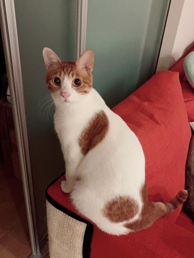 ごろう
