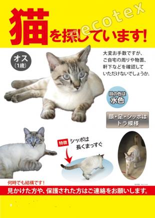 ラブ