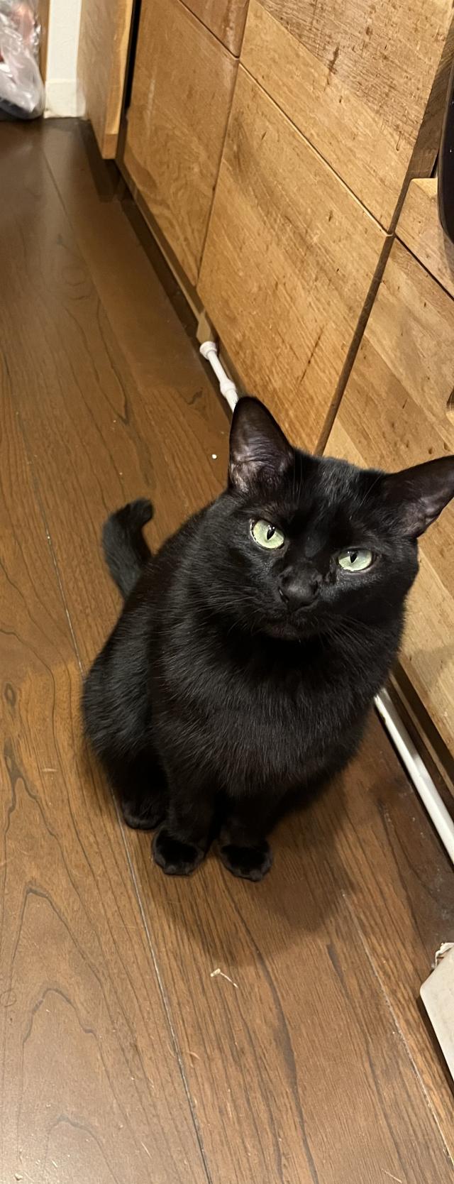 パチ