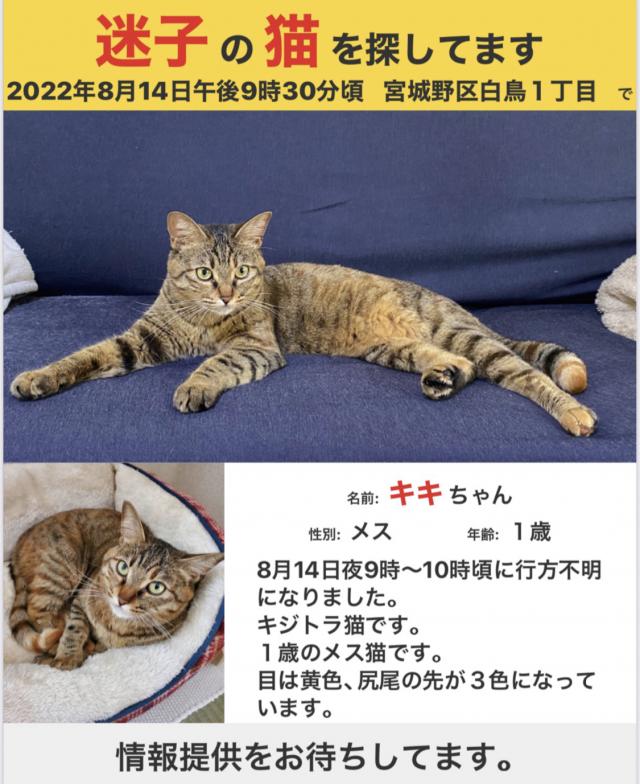 キキ