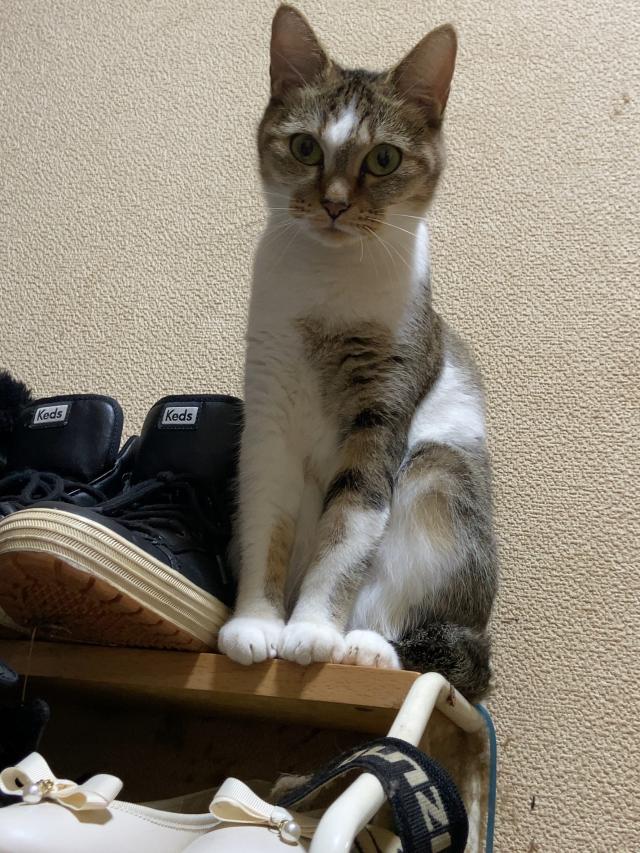 ちーちゃん