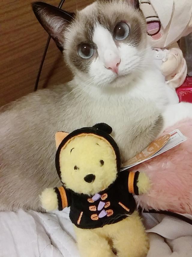 ノエル