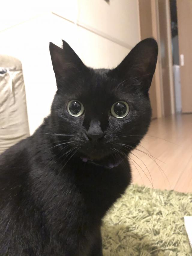 あずき