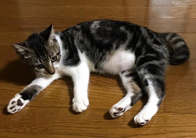 るる