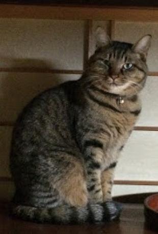 おにいさん