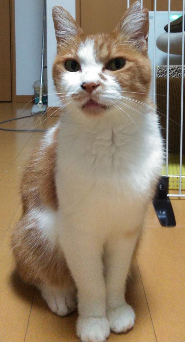 つん