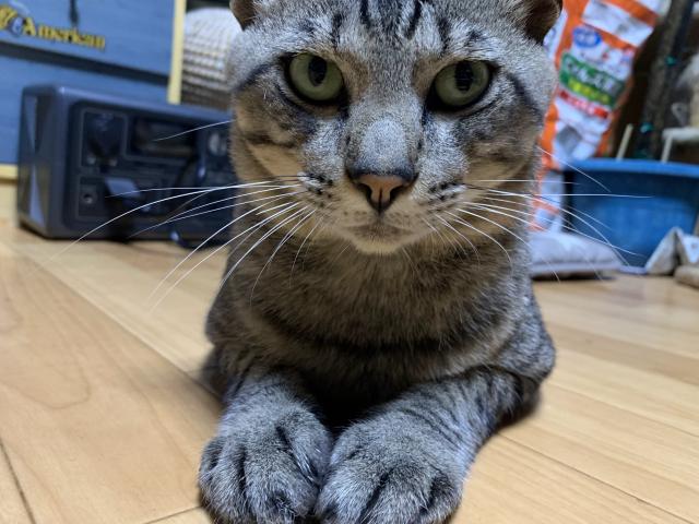 ルイ