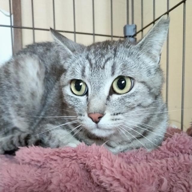 しーちゃん