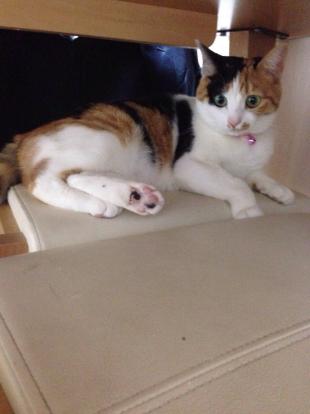 そら
