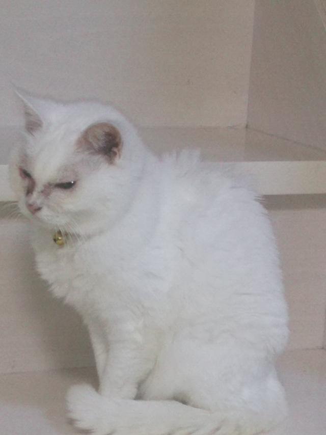 ジャック