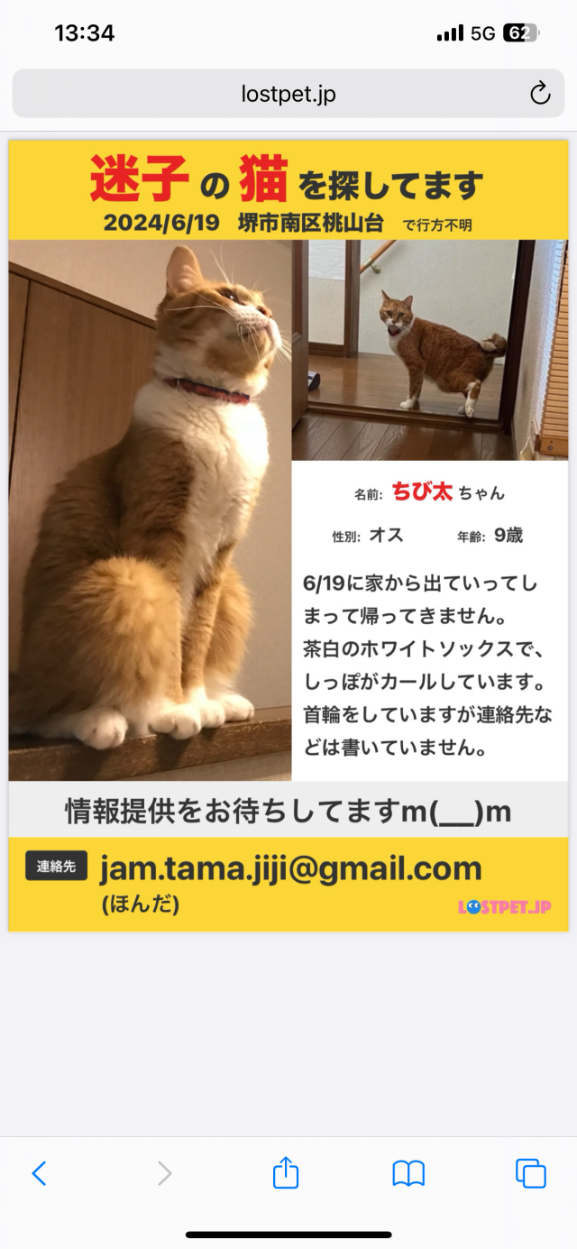ちび太