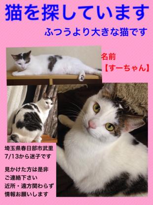 すーちゃん