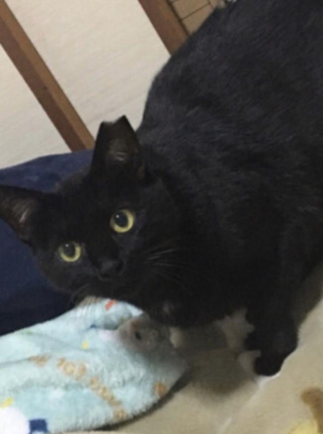 ラッキー