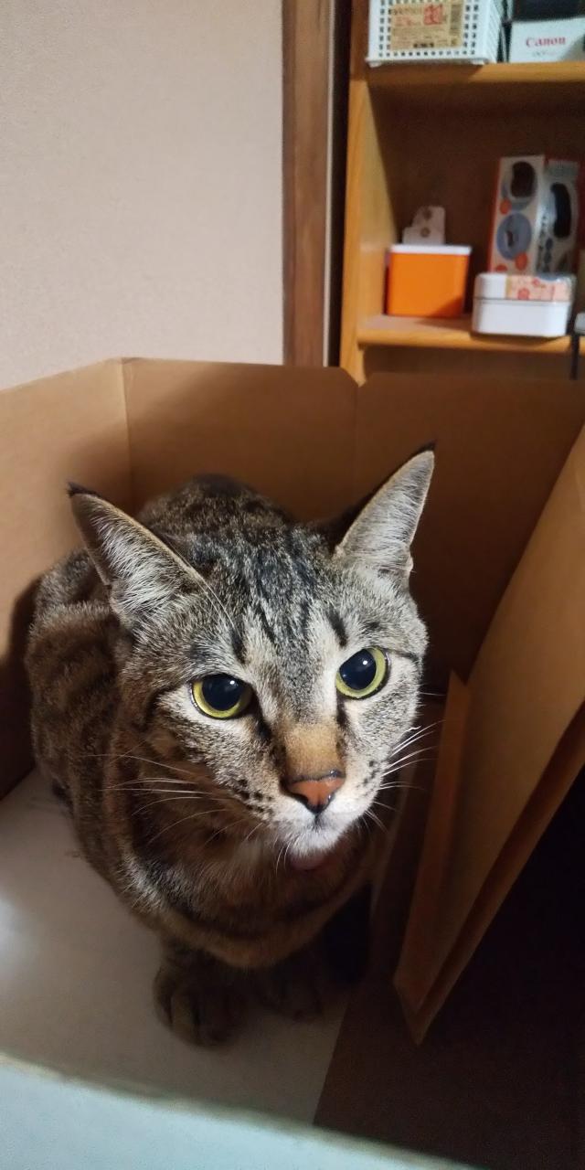 たっつん