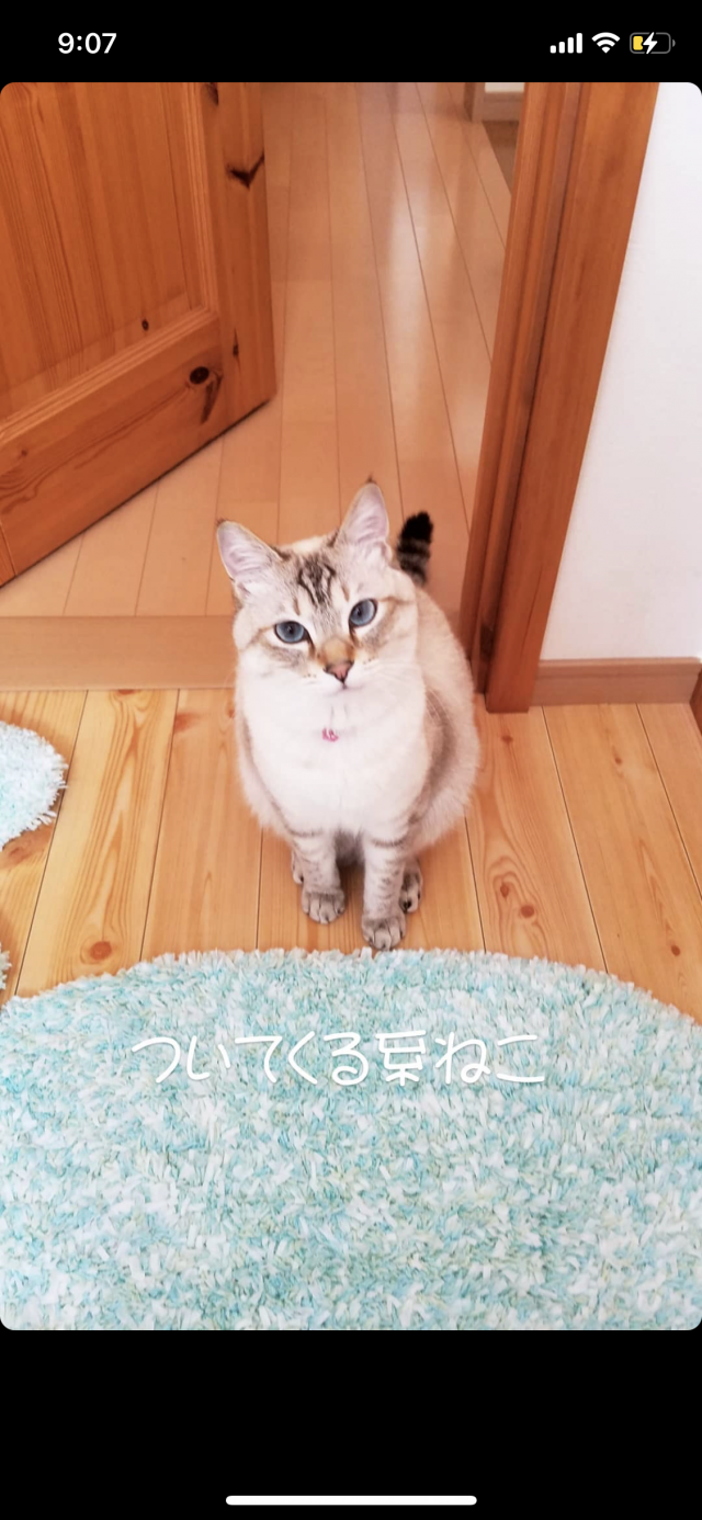 かぐらちゃん