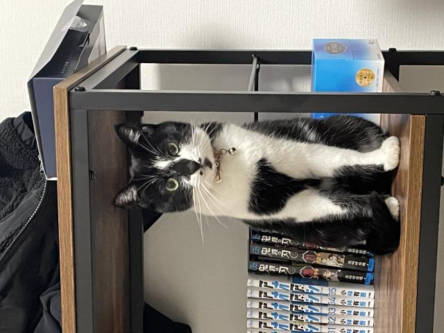 キキ