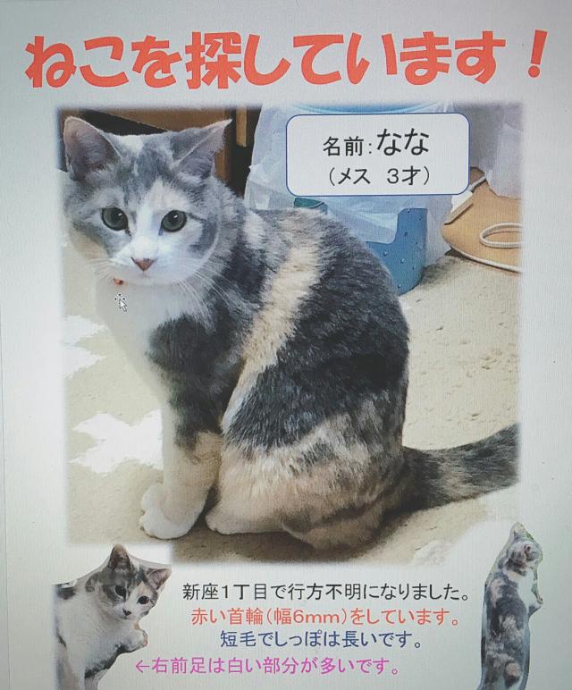 なな