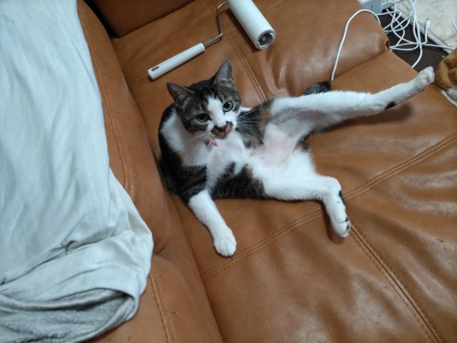 ちぃちゃん