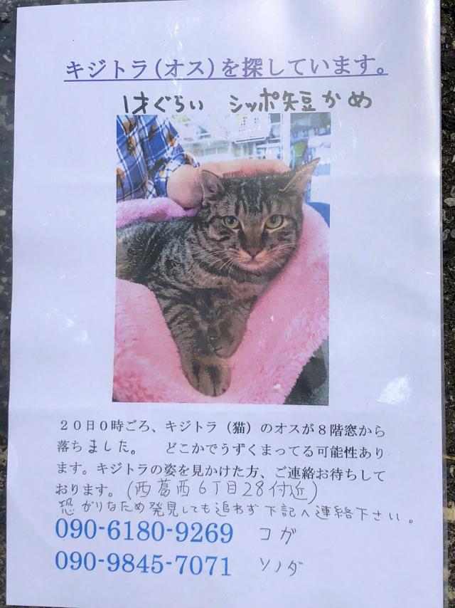 しゅう
