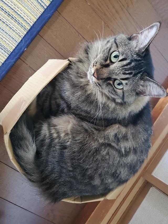 やみきち
