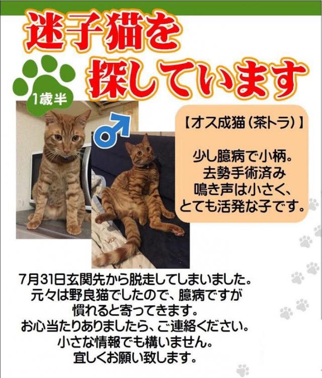 ショコラ