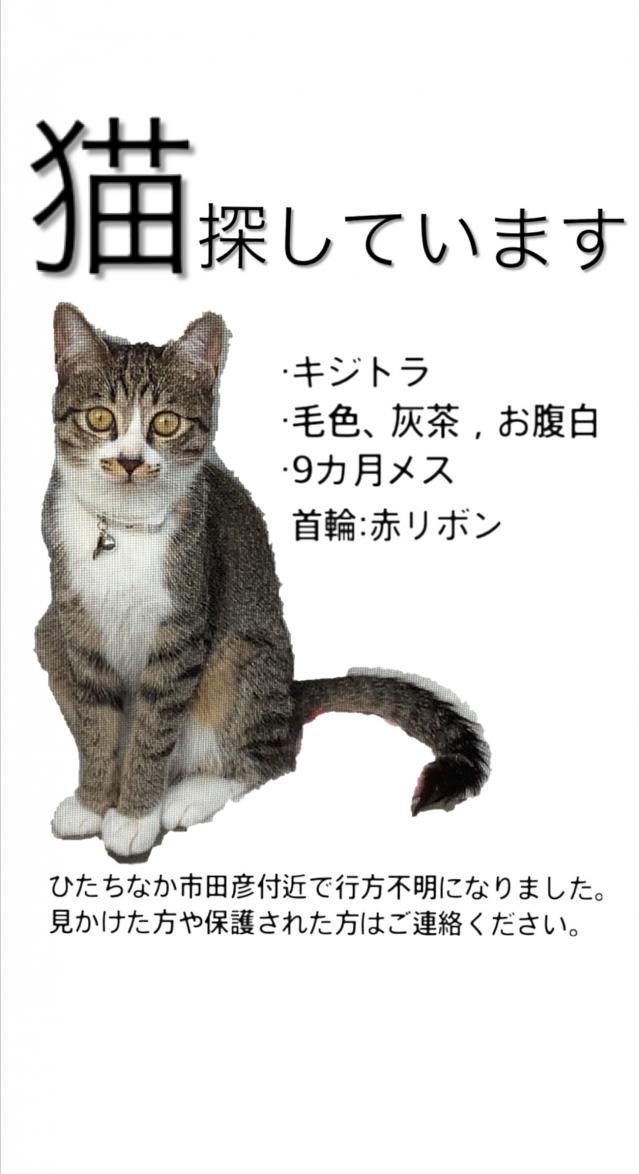 たまちゃん