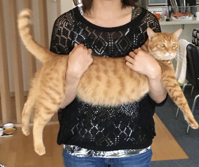 うに