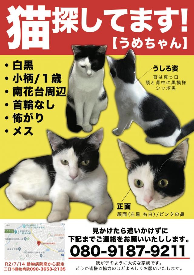 梅ちゃん