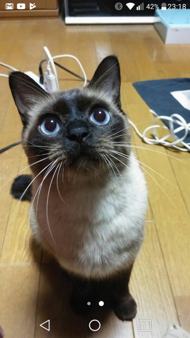 むー