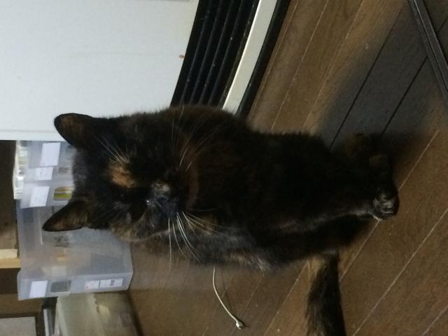 なな