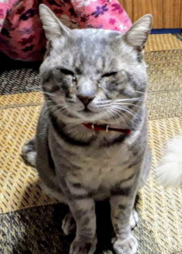 ミカエル