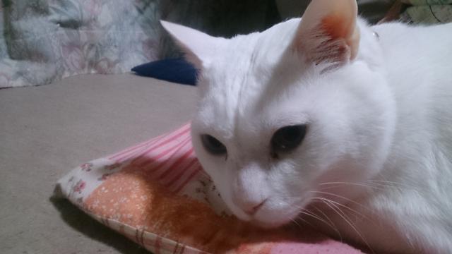 ナオ