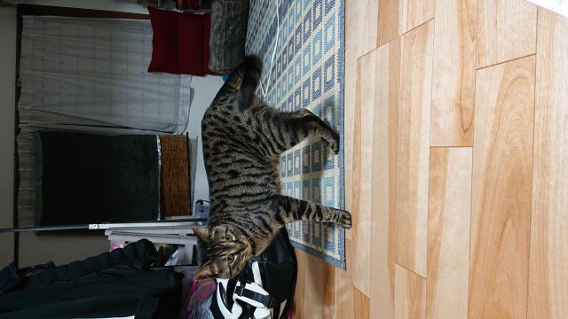 そら