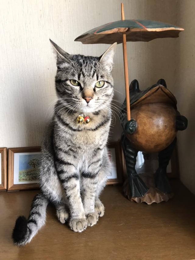 しずく