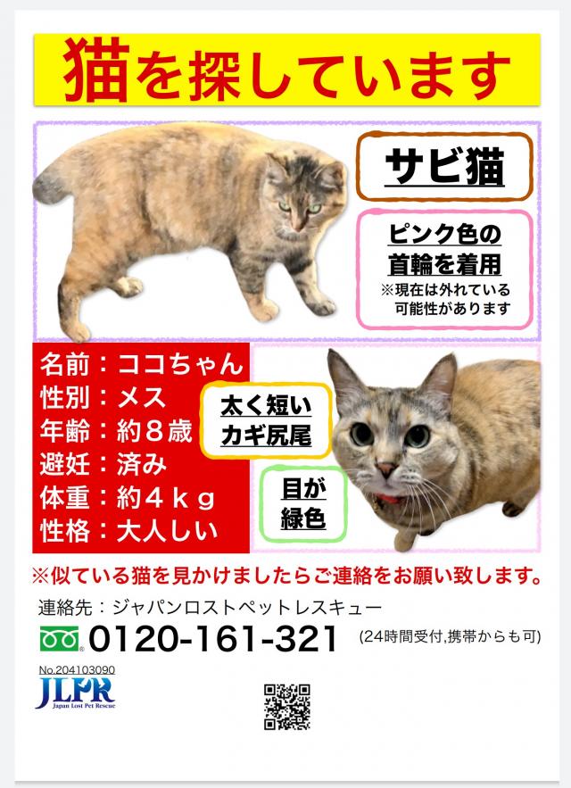 ココちゃん