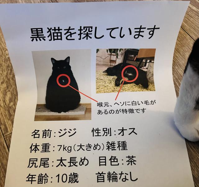 ジジ