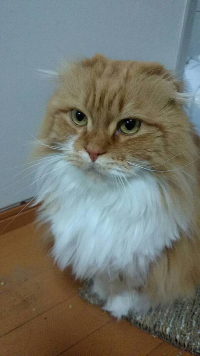 びあ