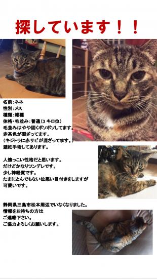 ネネ