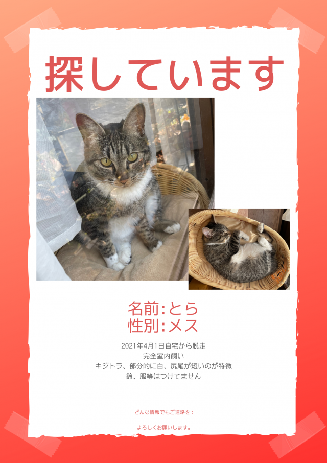 とら