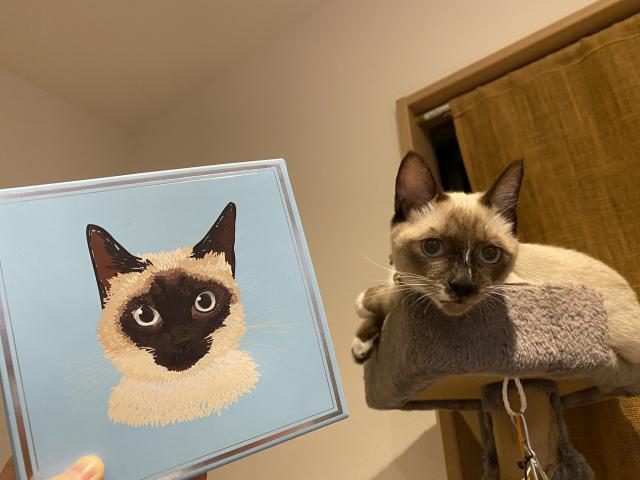 ジャック