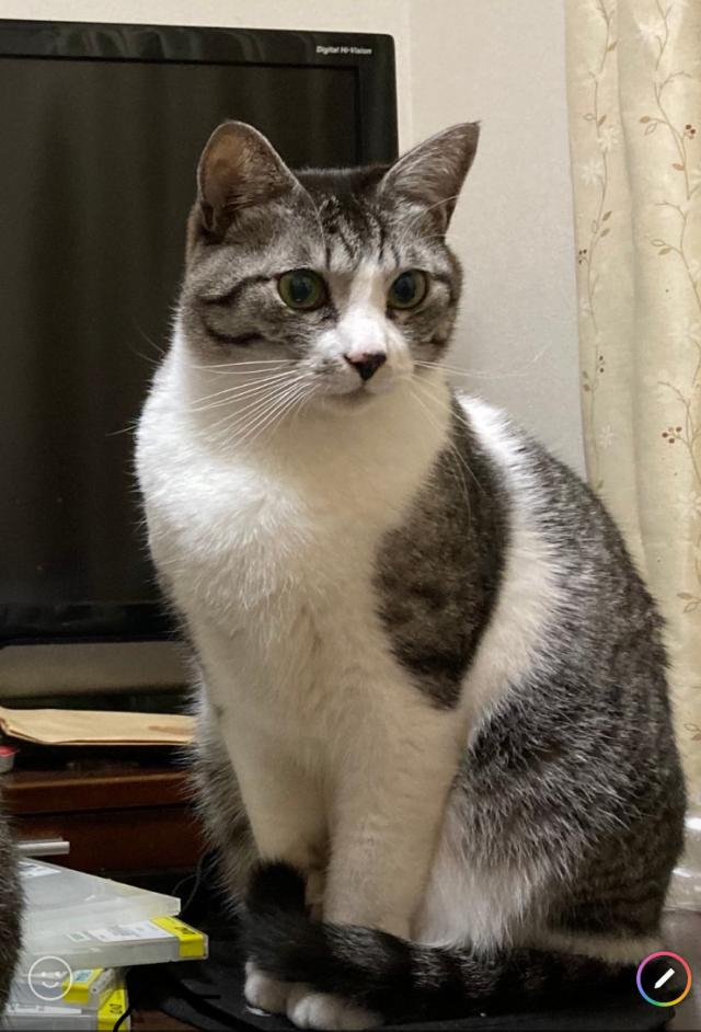 くぅ
